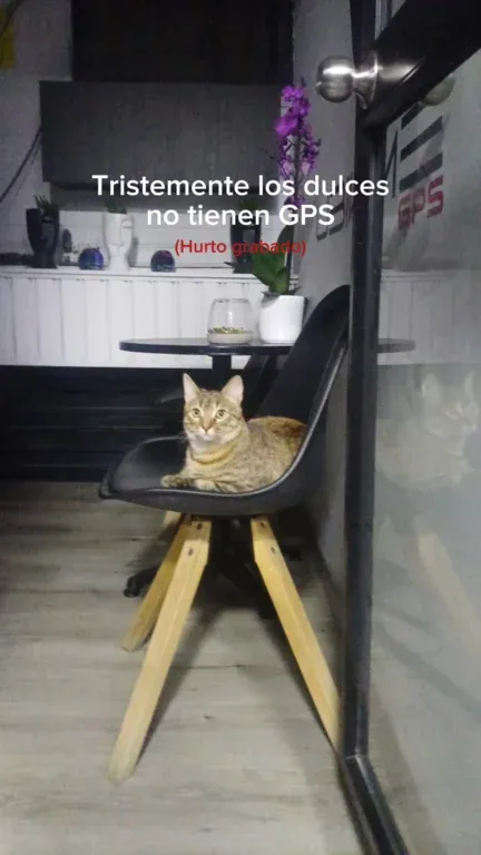 Los dulces no tienen GPS… tu moto sí debería 😭